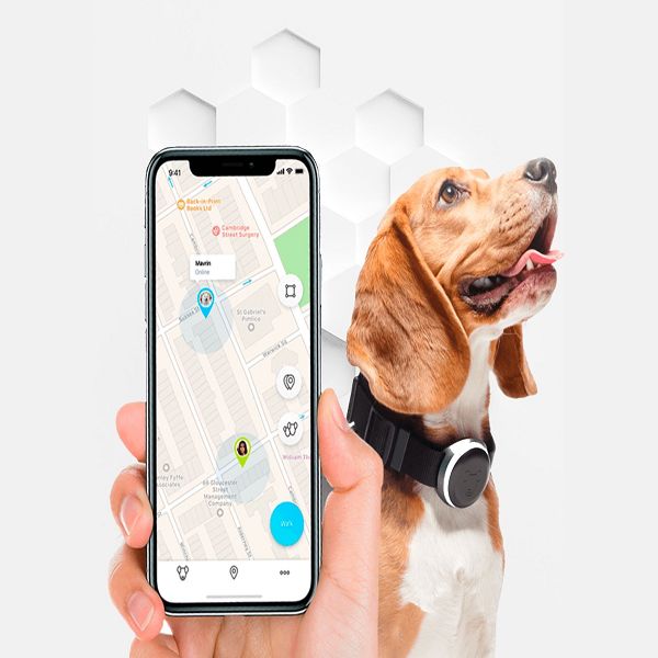 GPS per animali domestici gestibile da app