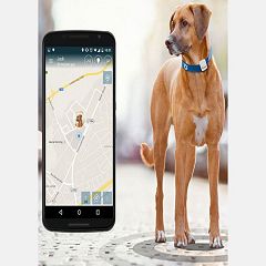 Collare GPS per animali