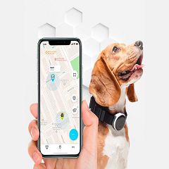 GPS sicurezza animali domestici